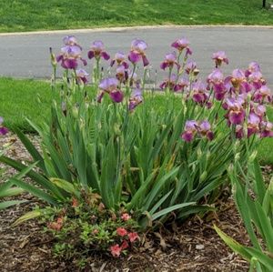 Meet your Posher, Joanna